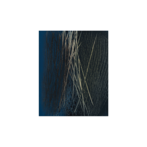 Hans Hartung - T1963-E5
