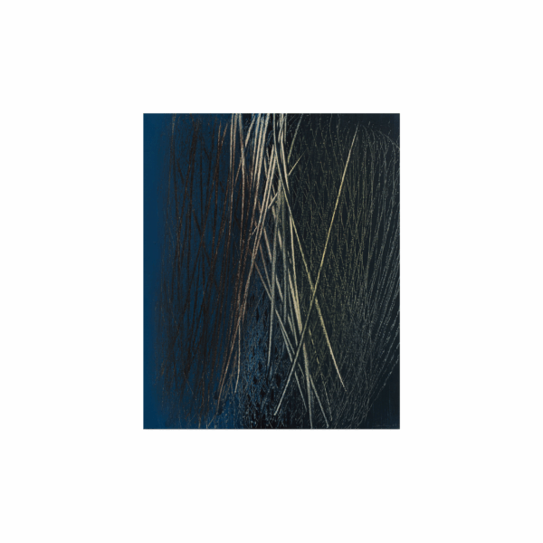 Hans Hartung - T1963-E5